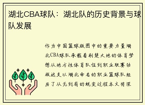 湖北CBA球队：湖北队的历史背景与球队发展