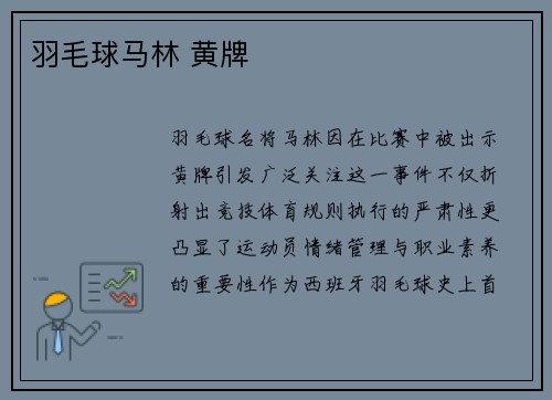 羽毛球马林 黄牌